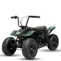 Elektrinis keturratis Mankius Thunder 250w 24V (2-5m)