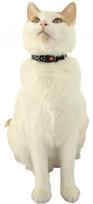 ZOLUX Chatouille juodas - cat collar