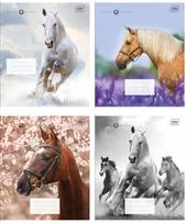 Sąsiuvinis INTERDRUK HORSES, A5, 12 lapų langeliais, 70g/m2