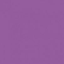 Kartonas A2 160g/m2 PROTOS tamsiai violetinis
