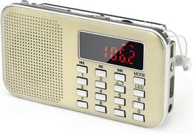 Nešiojamas FM radijas su LED žibintuvėliu ir USB, 1 vnt.