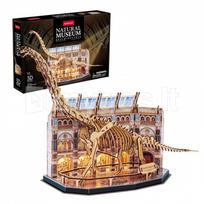 3D LED dėlionė „Brachiosauras“