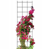 Sodo pavėsinės grotelės Kadax 45x150