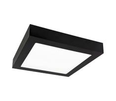 LED Lubinis šviestuvas FENIX LED/18W/230V 3800K 22,5 cm