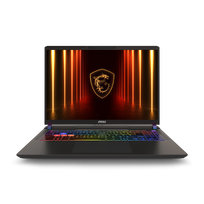 MSI Vector A16 HX A8WHG