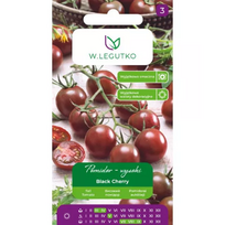 Juodasis vyšninis aukštas pomidoras – vyšninio tipo vaisius, violetinės-rudos spalvos