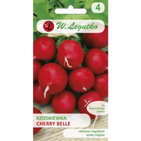 Cherry Belle ridikas – apvalus, raudonas