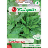 Žiemos milžiniškos špinatai