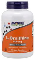 NOW Foods L-Ornithine, 500mg - 120 kapsulių