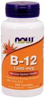 NOW Foods Vitamin B-12 with Folic Acid, 1000mcg - 250 pastilių