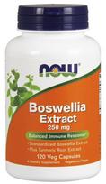 NOW Foods Boswellia Extract Plus Turmeric Root Extract, 250mg - 120 kapsulių