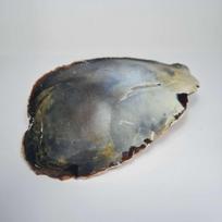 Natūralus Titnagas. Titnago akmuo 0659