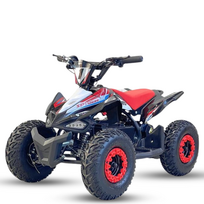 Elektrinis keturratis Mankius Spider 1000w 36V(3-7m)
