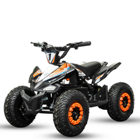 Elektrinis keturratis Mankius Spider 1000w 36V(3-7m)