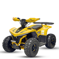 Vaikiškas Elektrinis Keturratis MONKEY E-HAWK 1600