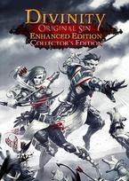 Divinity: Original Sin - Enhanced Edition Collector's Edition (PC) GOG Key GLOBAL