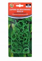 Plastikiniai augalų laikikliai. 50vnt