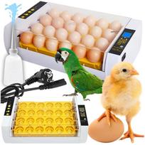 Inkubatorius, perykla, automatinė perykla, skaitmeninis ovoskopas, kiaušinių vartymas 24