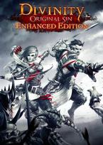 Divinity: Original Sin (Enhanced Edition) (PC) Gog.com Key EUROPE