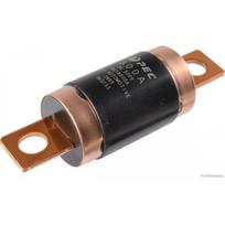 Saugiklis HERTH+BUSS ELPARTS 50295396