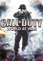 Call of Duty: World at War - Windows Store Key EUROPE
