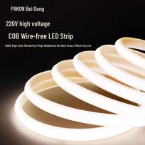 Begong 220V COB Outdoor Waterproof LED Strip Light 50m