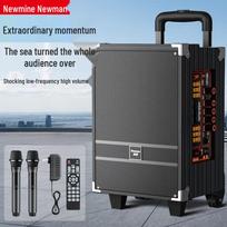 Newman N518 8 colių nešiojama Bluetooth vežimėlio garsiakalbis su dvigubais mikrofonais CN kištukas (adapteris įtrauktas)