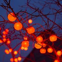 Lauko LED šventinės girliandos žibintai Plug-in