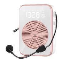 Soaiy S318 Portable Voice Amplifier CN plug (adapter included)