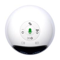 Alpha Egg AI palydovas robotas