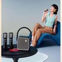 Divoom SongBird-SE KTV Microphone Speaker System CN plug (adapter included)
