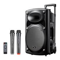 Newman B12 12 colių nešiojama „Bluetooth“ vežimėlio kolonėlė CN kištukas (adapteris įtrauktas)