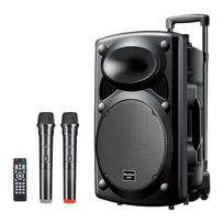 NEWMINE B12 12 colių Bluetooth vežimėlio garsiakalbis su dvigubais mikrofonais CN kištukas (adapteris įtrauktas)