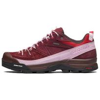 SALOMON X The Broken Arm X Alpages Gtx Tba 'Raudona Rožinė' 473461 44