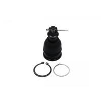 Šarnyras KAVO PARTS SBJ-2003