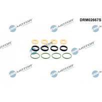 Purkštuko tarpinių rinkinys Dr.Motor Automotive DRM02667S