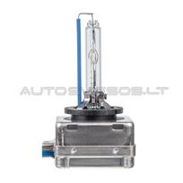 D8S 25W Xenon Lemputė