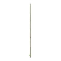 Bambukinė Lazda 140836 210cm