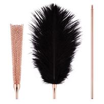 Rosy Gold Feather Tickler and Whip Botagėlis