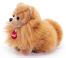 Pliušinis šuniukas Pomeranijos špicas, Trudi