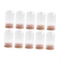 10 vnt. stikliniai kupolai-indai kolekcionuojamiems daiktams eksponuoti 30mmx50mm white
