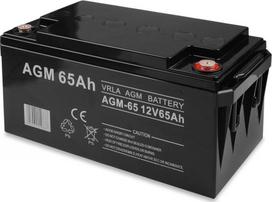 Volt VOLT POLSKA AKUMULATOR AGM 12V 65Ah VRLA | 6AKUXAG065 | 5903760240837