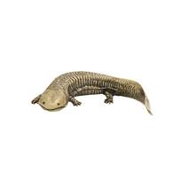 Giant Salamander (Andrias Davidianus) Brass Figurine, Decorative Table Ornament, Tea Pet, Suitable For Living Room Or Study, Copper Craft.