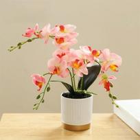 Phalaenopsis gėlė Šilkinė druginė orchidėja Vazoninis augalas Bonsai orchidėja Nauja dirbtinė Phalaenopsis oranžinė