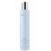 Purity Anti-dandruff Shampoo For Dry Scalp Šampūnas nuo pleiskanų 250ml