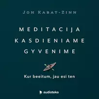 Audio Meditacija kasdieniame gyvenime. Kur beeitum, jau esi ten - Jon Kabat-Zinn