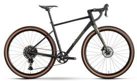 Dviratis Raymon Territ Comp 2026 black-forest green