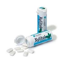 XYLITOL becukrė kramtomoji guma su ksilitoliu pipirmėtės skonio, 30 vnt.