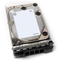 Dell 12TB 7.2K RPM SATA 6Gbps 512e 3.5in Hot-plug Hard