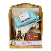 HARRY POTTER  Skraidantis Vizlio RC automobilis